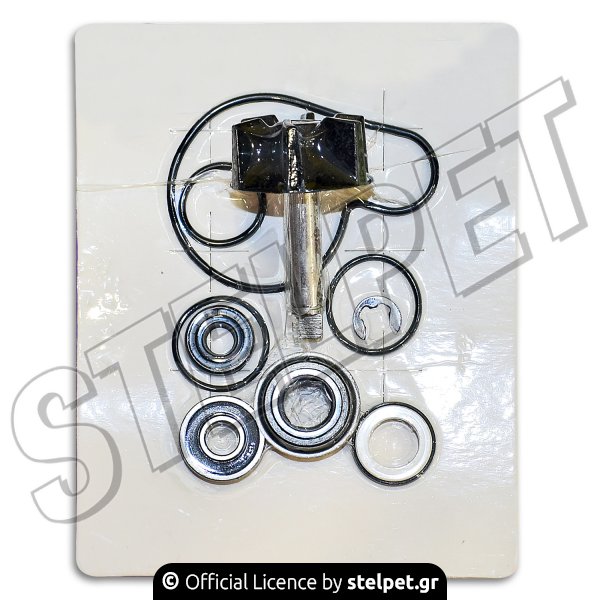 Κιτ επισκευής αντλίας νερού Suzuki Burgman 125 / 250 / 400
